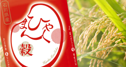 石川のお米 ひゃくまん穀 5kg