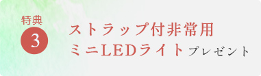 特典3 ストラップ付非常用ミニLEDライト