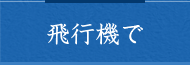 飛行機で
