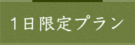 1日限定プラン